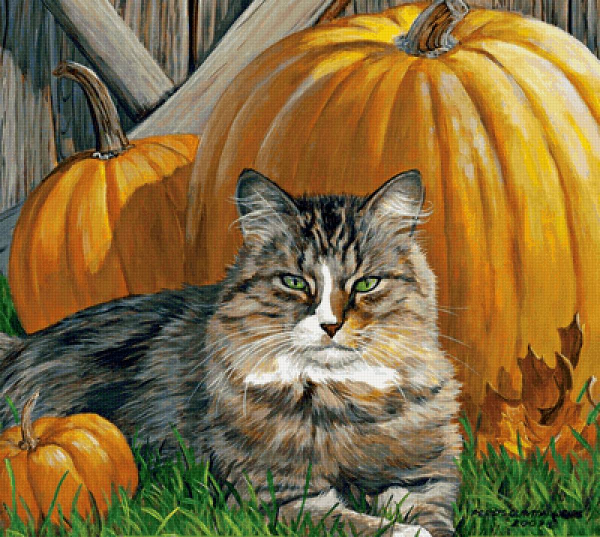 №2141889 - домашние животные, тыква, кот - предпросмотр