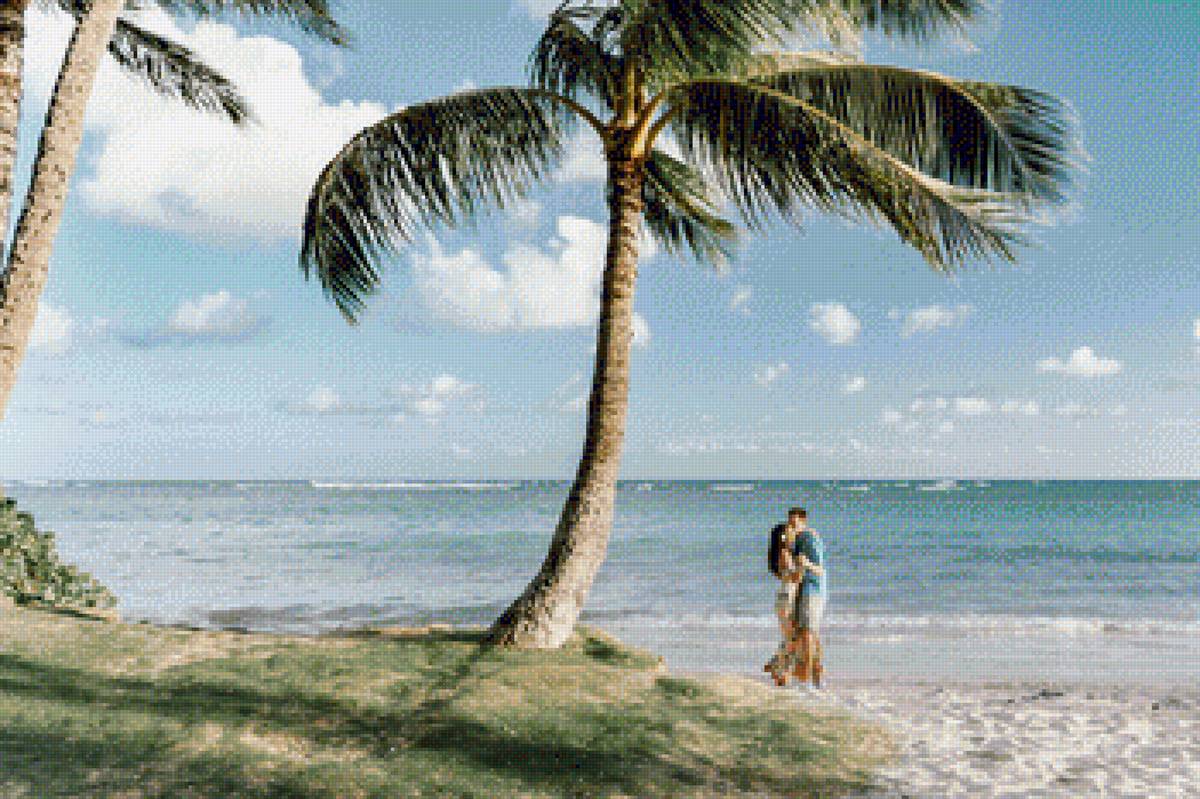 Гавайи - пальмы, пара, гавайи, пляж - предпросмотр