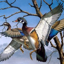 Схема вышивки «полет уток»