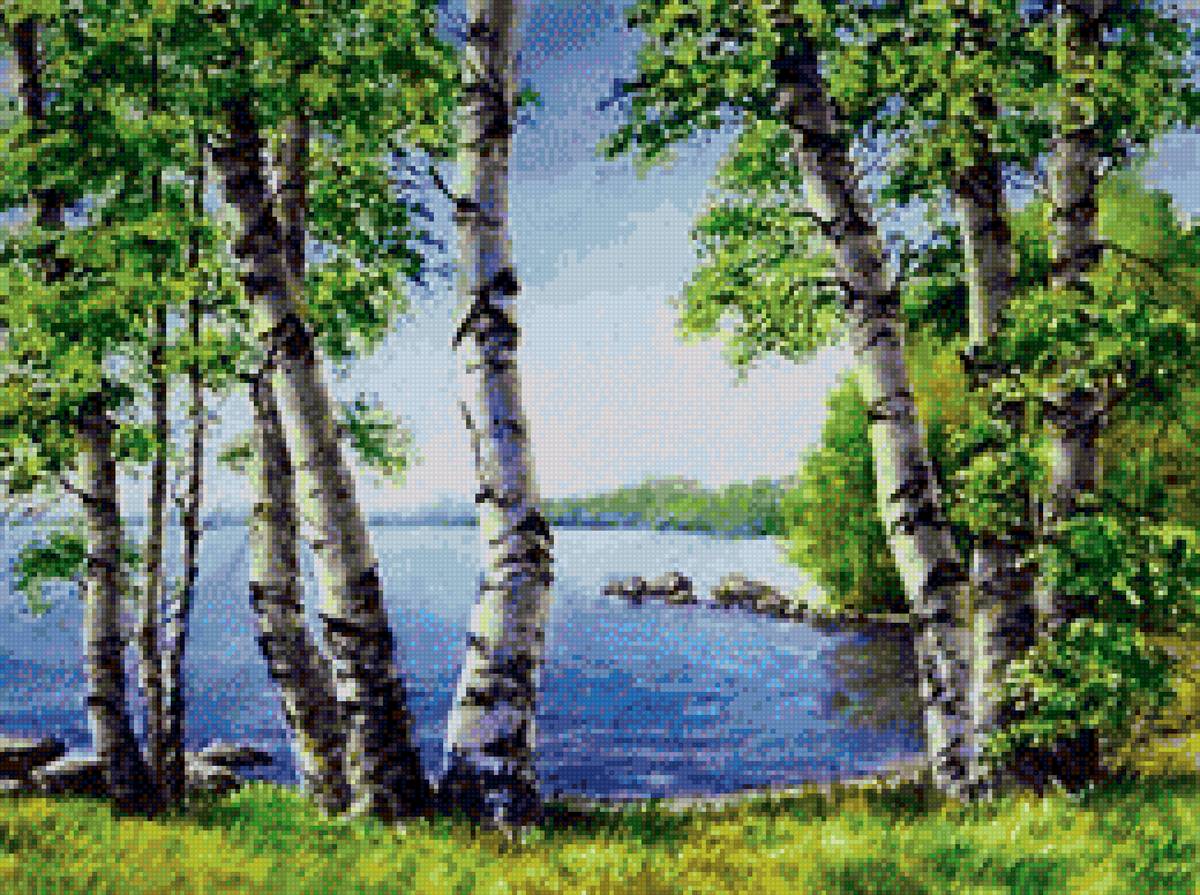 березки - березы, лето, река - предпросмотр