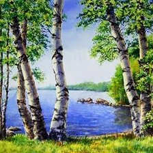 Схема вышивки «березки»