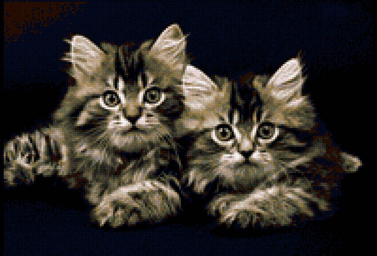 котята на чёрном фоне с использованием 20 цветов - предпросмотр