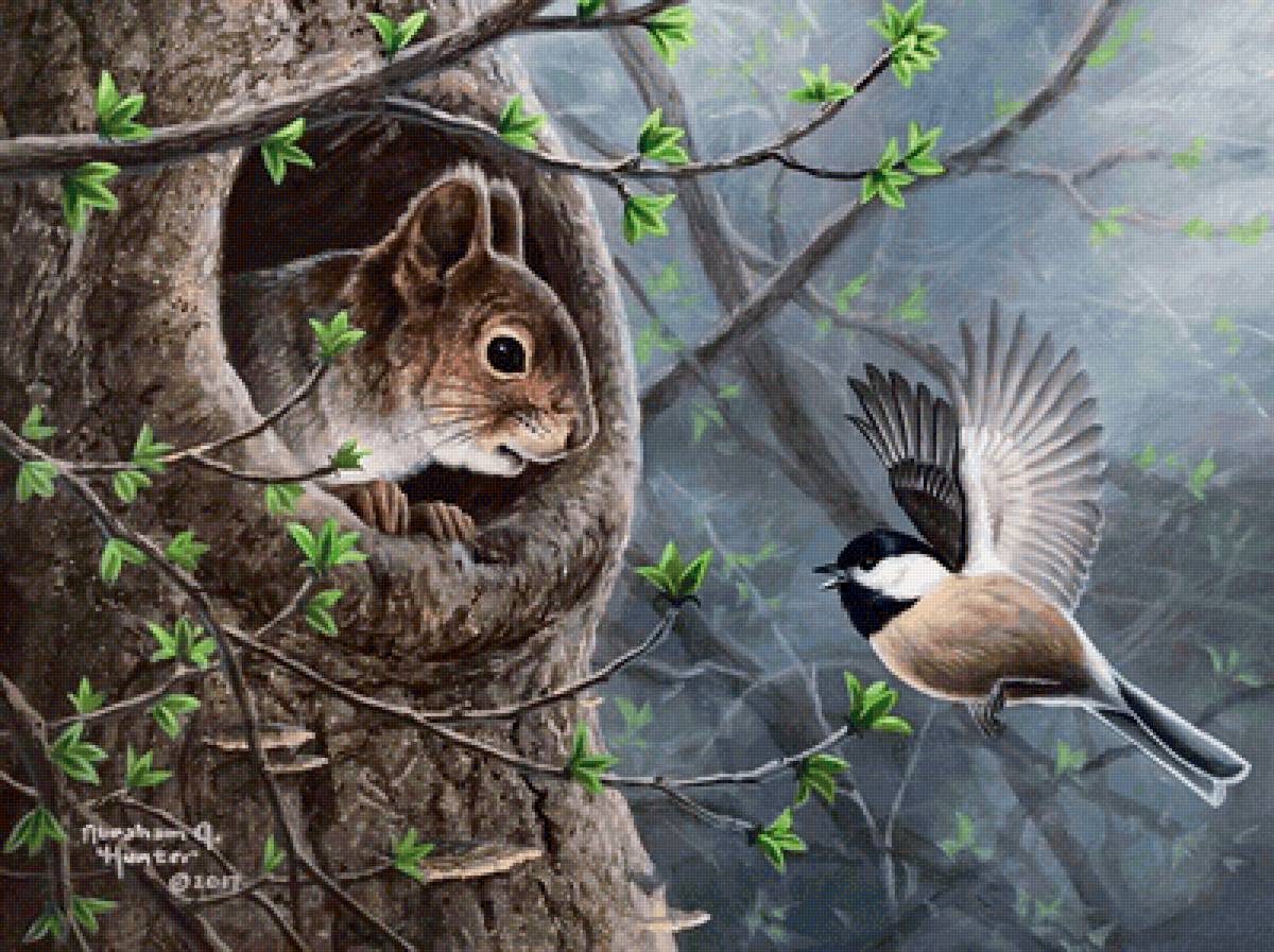 №2142510 - птица, белка - предпросмотр