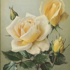Оригинал схемы вышивки «Желтая роза» (№2142635)
