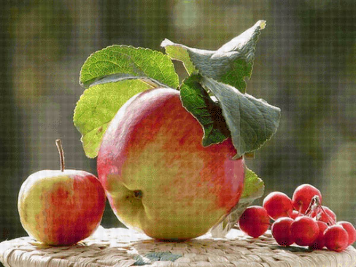 Яблоки - фрукты, яблоки, натюрморт - предпросмотр