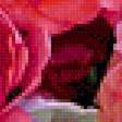 Предпросмотр схемы вышивки «Букет розовых цветов» (№2142979)