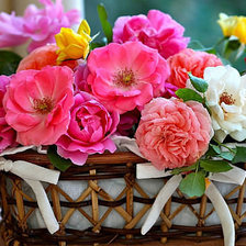 Схема вышивки «Букет розовых цветов»