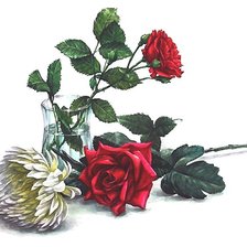 Оригинал схемы вышивки «цветы» (№2143140)