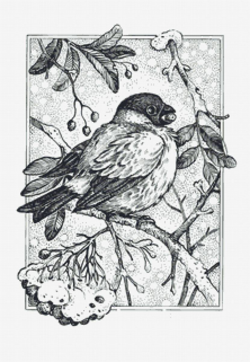 рисунок - предпросмотр