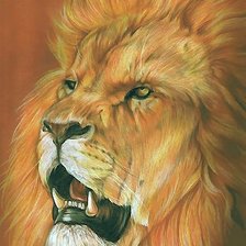 Схема вышивки «лев»