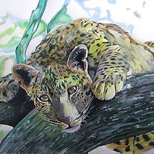 Схема вышивки «рисунок»