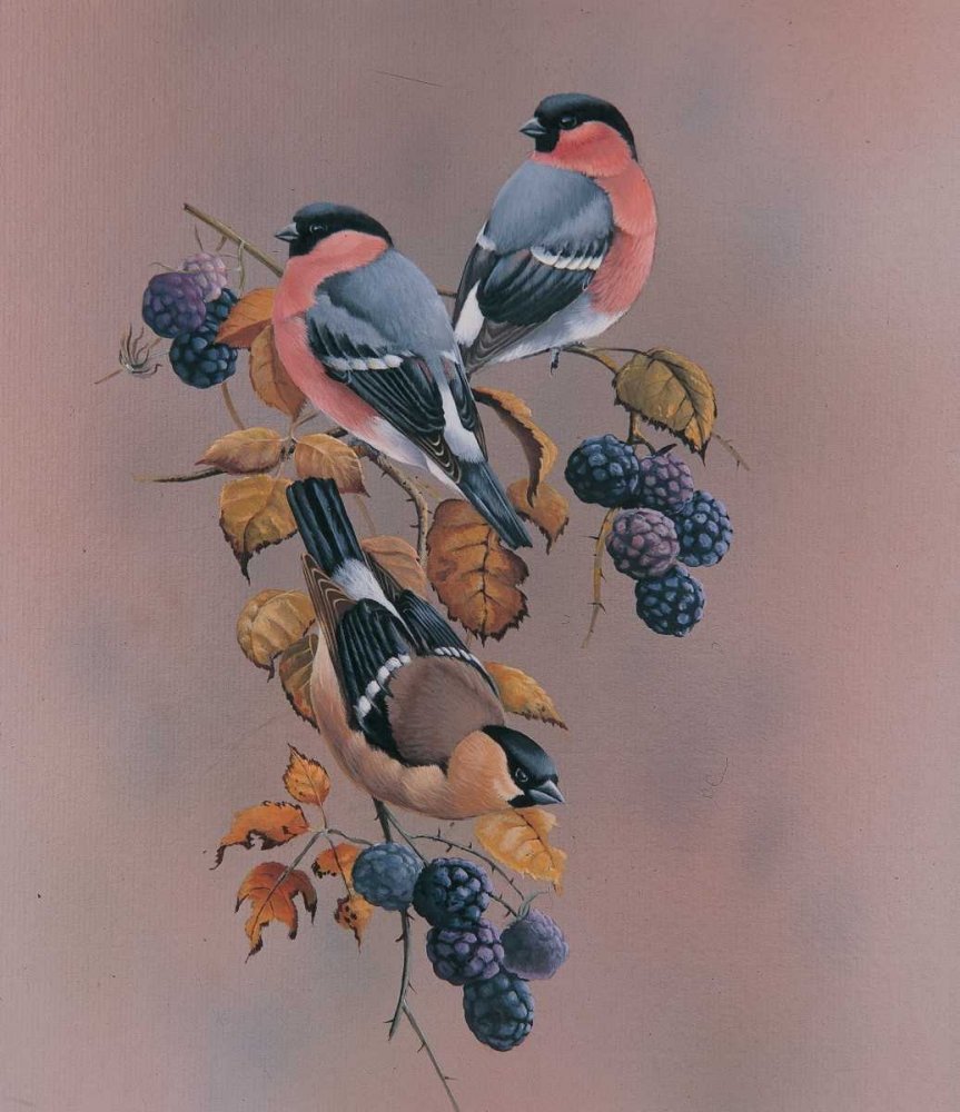 №2143256 - оригинал