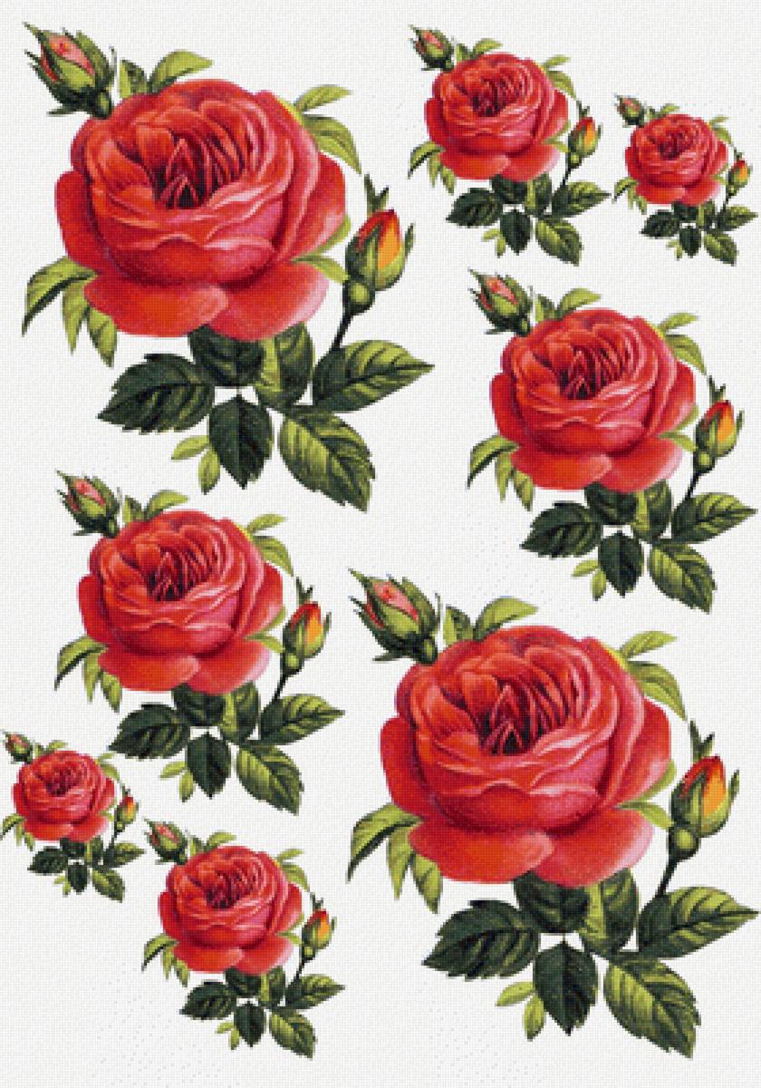 №2143282 - предпросмотр