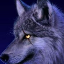 Оригинал схемы вышивки «волк» (№2143321)