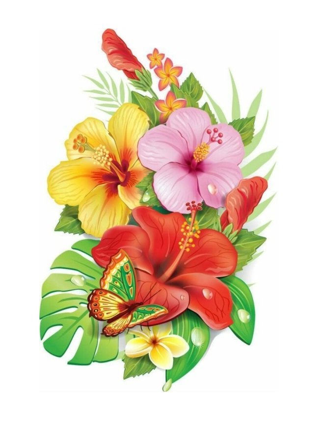 Hoa - оригинал