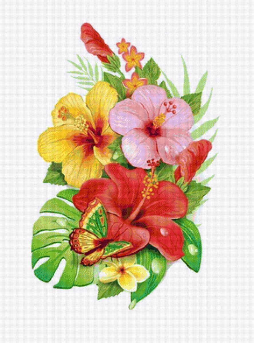 Hoa - предпросмотр