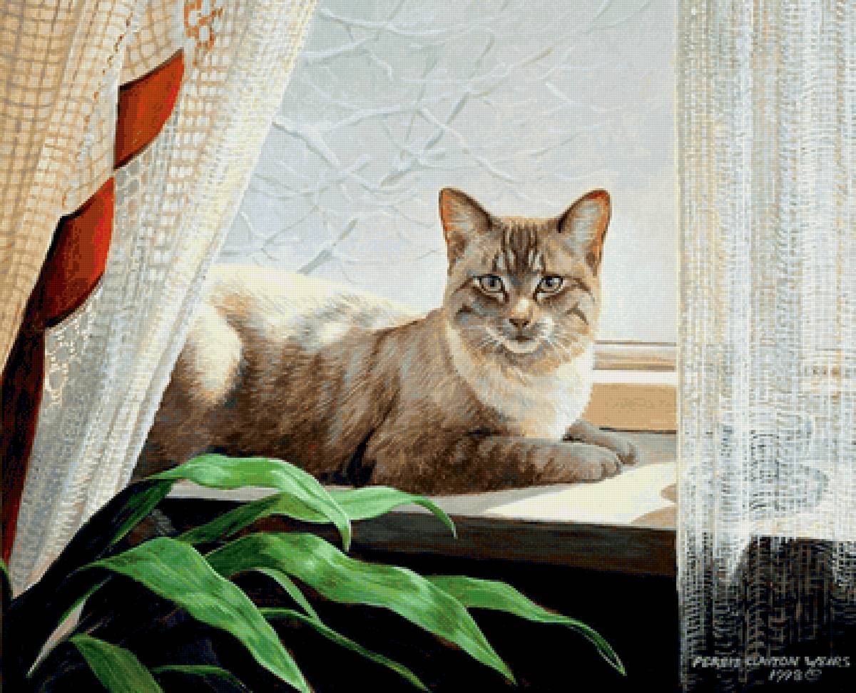 кот на окне - кот, зима, окно - предпросмотр
