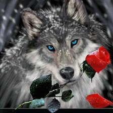 Оригинал схемы вышивки «волк с розой» (№2143565)