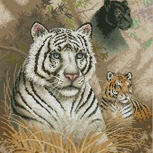 лесные звери