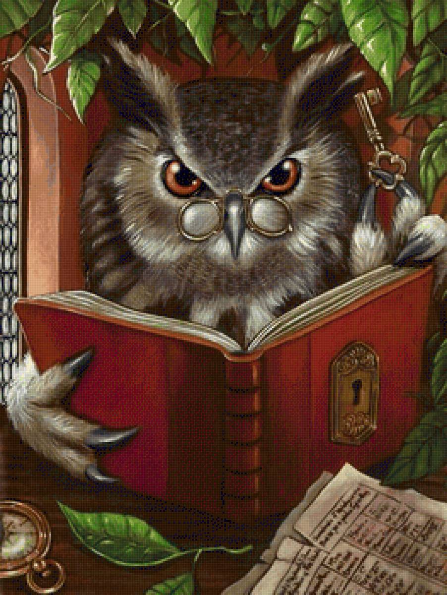 сова - сова, книга - предпросмотр