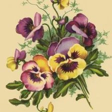 Схема вышивки «№2143814»