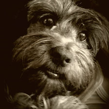 Схема вышивки «CANDY_1»