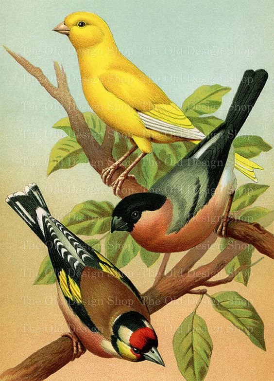 №2143991 - оригинал