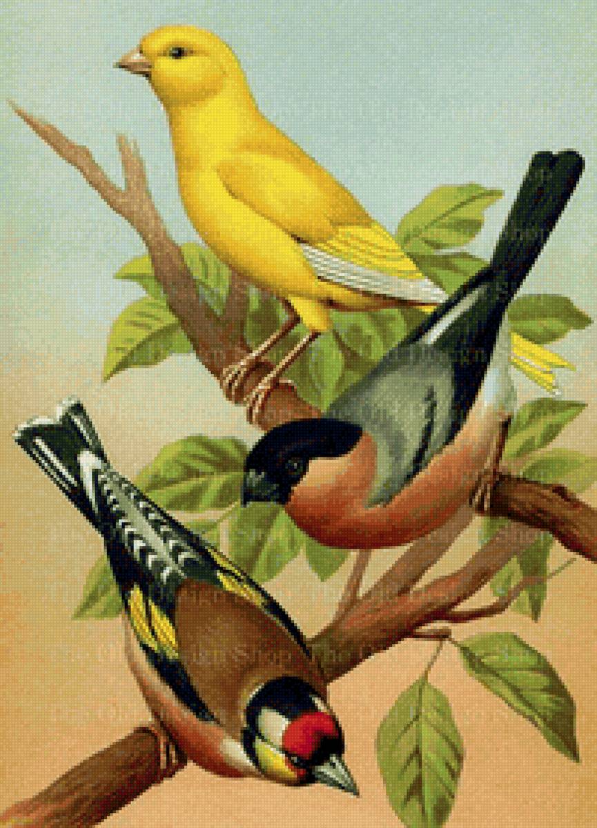 №2143991 - предпросмотр