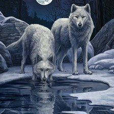 Схема вышивки «Волки»