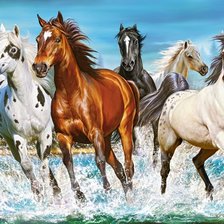 великолепная пятёрка