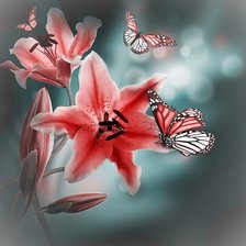 Схема вышивки «№2144707»