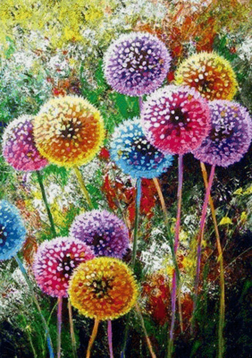 Разноцветные  одуванчики - цветы - предпросмотр