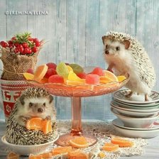 Схема вышивки «980451»