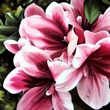 Схема вышивки «№2144916»