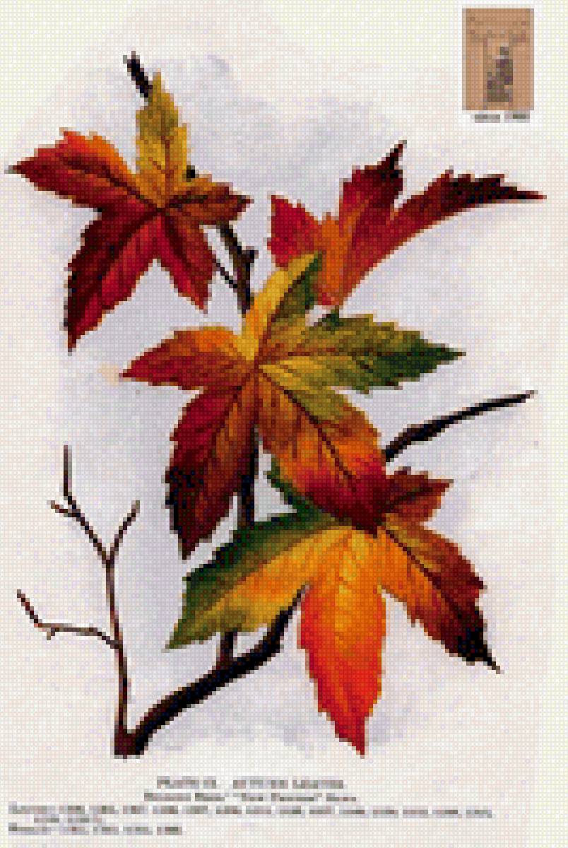 №2145064 - предпросмотр