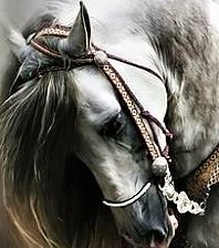 Схема вышивки «№2145194»