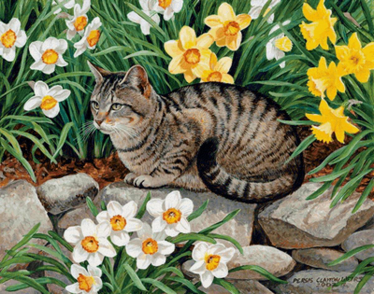 кот в нарциссах - кот, цветы, нарциссы - предпросмотр