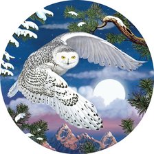 Схема вышивки «biela sova»