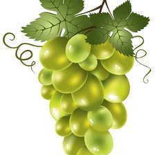 Схема вышивки «№2145518»