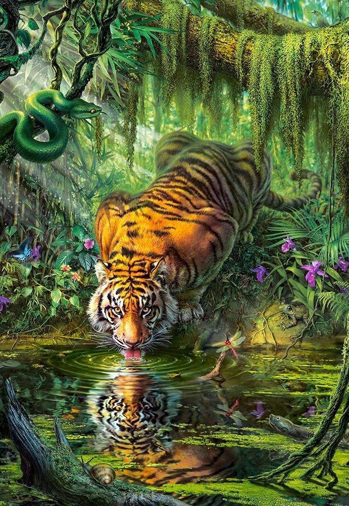 №2145582 - тигр, джунгли - оригинал
