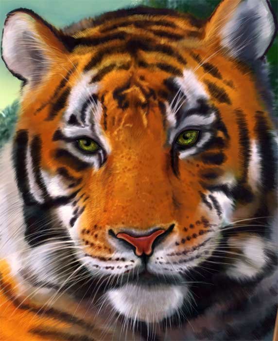 №2145586 - тигр - оригинал