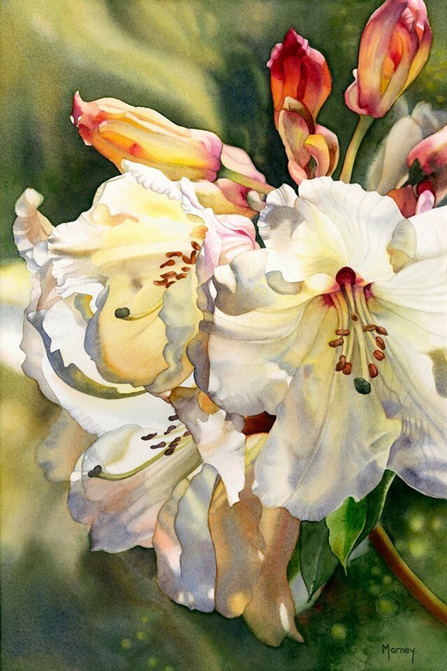 Белые лилии Marney Ward - лилии - оригинал