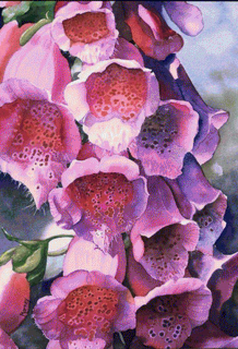 Наперстянка Marney Ward - наперстянка - предпросмотр