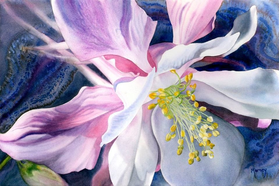 Дикая орхидея Marney Ward - орхидея - оригинал