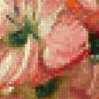 Предпросмотр схемы вышивки «Гладиолусы в вазе» (№2146030)