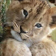 Схема вышивки «малыш»