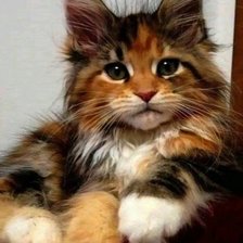 Схема вышивки «кисун»