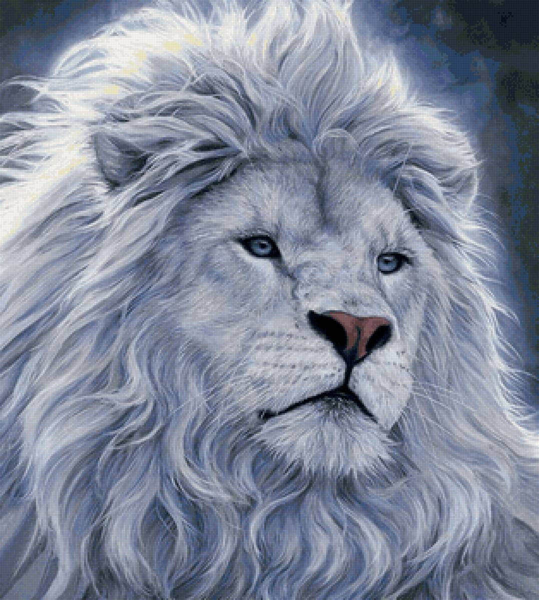 дикие - предпросмотр