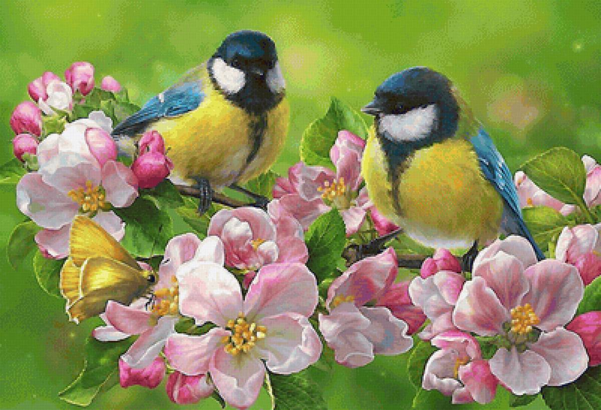 Ветка яблони - синички, яблоня, бабочка, цветы - предпросмотр