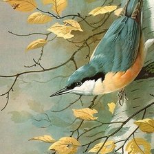 Схема вышивки «№2146899»